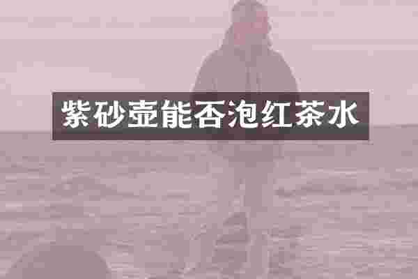 紫砂壶能否泡红茶水