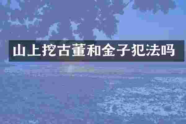 山上挖古董和金子犯法吗