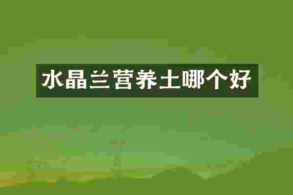 水晶兰营养土哪个好