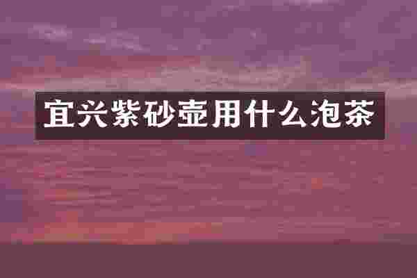 宜兴紫砂壶用什么泡茶