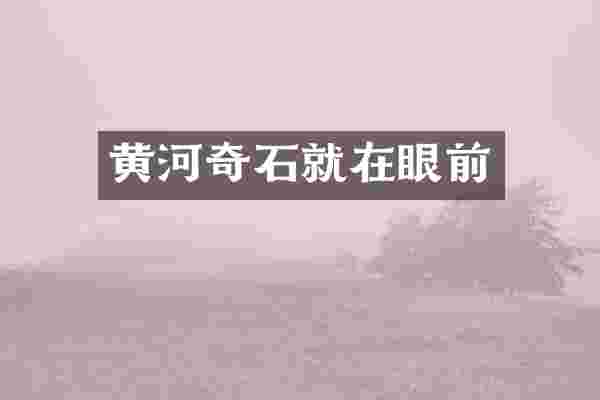 黄河奇石就在眼前