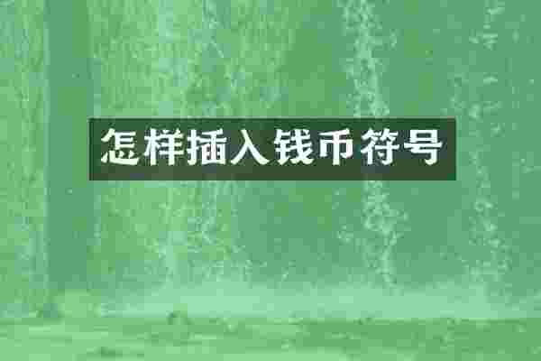 怎样插入钱币符号