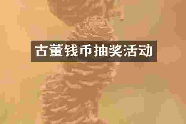 古董钱币抽奖活动