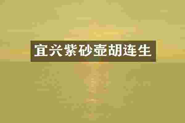 宜兴紫砂壶胡连生