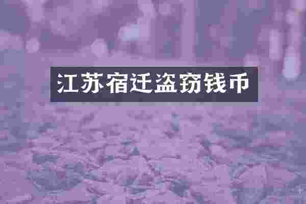 江苏宿迁盗窃钱币