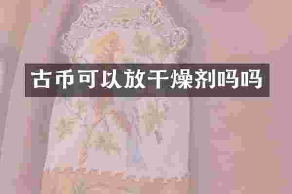 古币可以放干燥剂吗吗