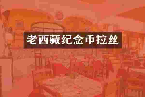 老西藏纪念币拉丝
