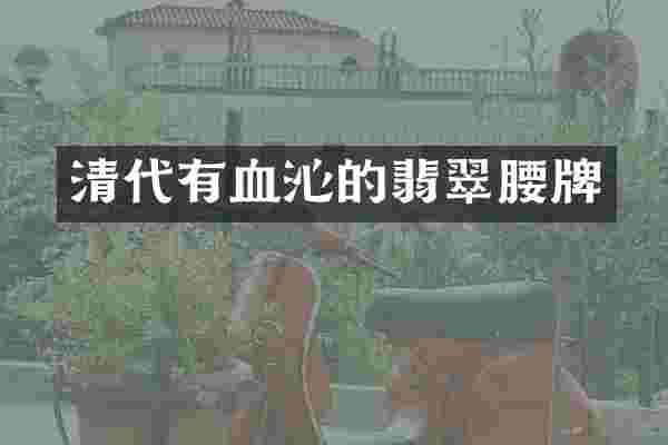 清代有血沁的翡翠腰牌