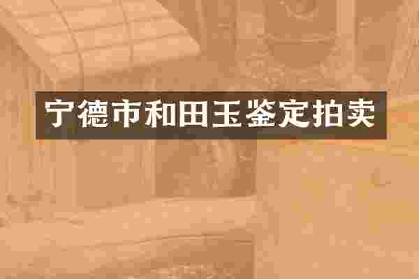 宁德市和田玉鉴定拍卖