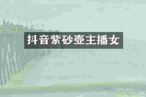 抖音紫砂壶主播女