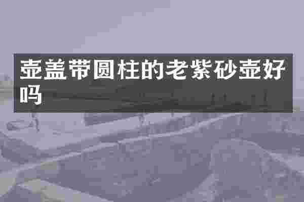 壶盖带圆柱的老紫砂壶好吗