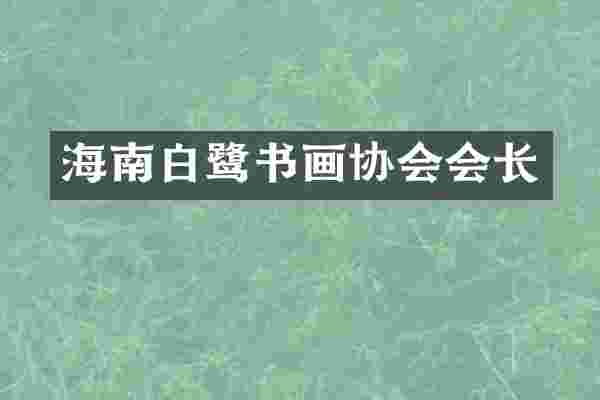 海南白鹭书画协会会长