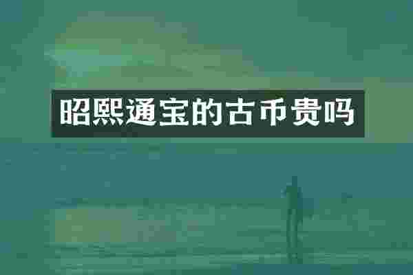 昭熙通宝的古币贵吗