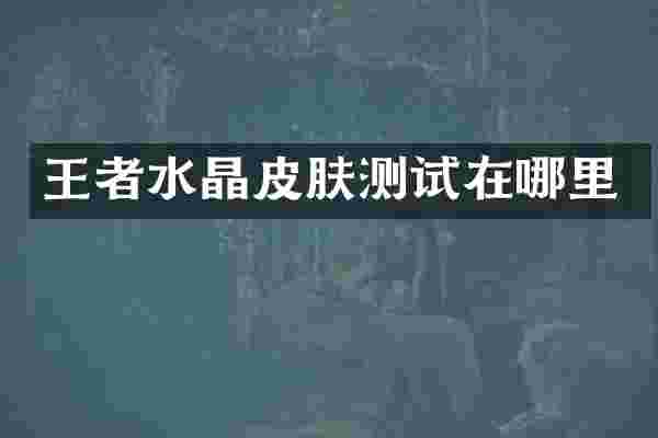 王者水晶皮肤测试在哪里