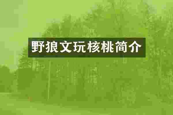 野狼文玩核桃简介