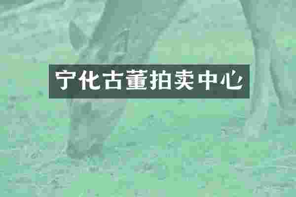 宁化古董拍卖中心