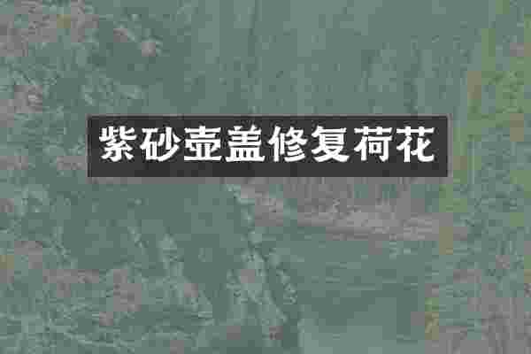 紫砂壶盖修复荷花