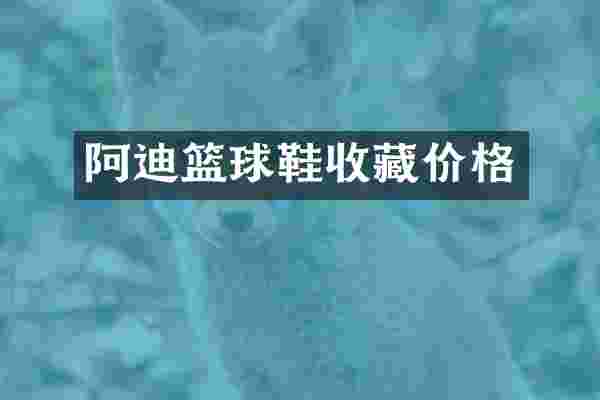 阿迪篮球鞋收藏价格