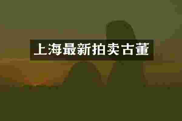 上海最新拍卖古董