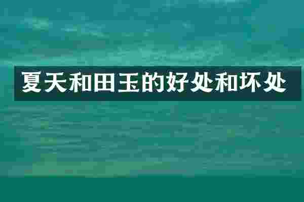 夏天和田玉的好处和坏处