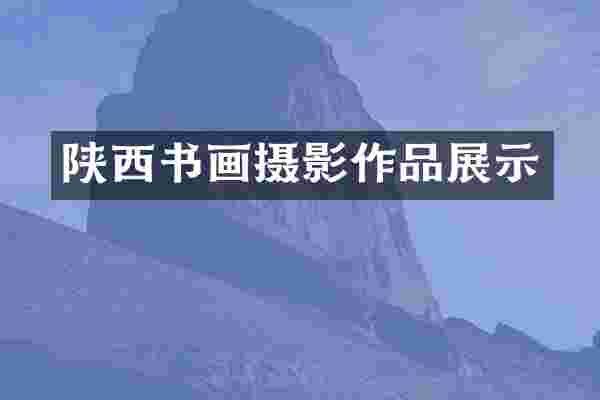 陕西书画摄影作品展示