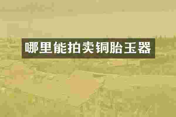 哪里能拍卖铜胎玉器