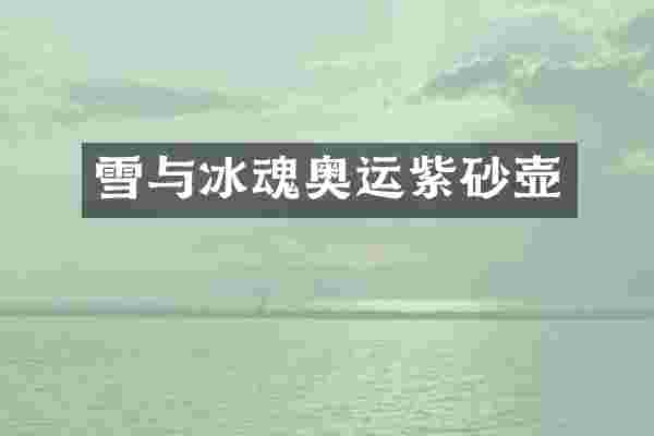 雪与冰魂奥运紫砂壶
