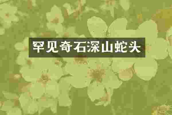 罕见奇石深山蛇头