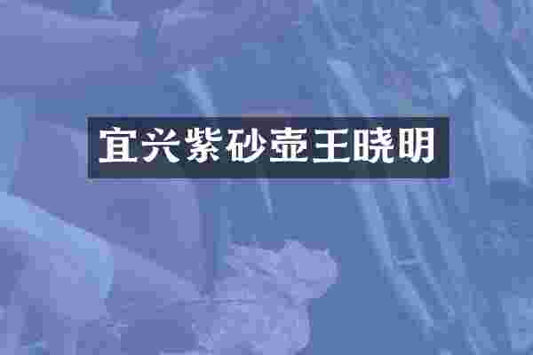 宜兴紫砂壶王晓明