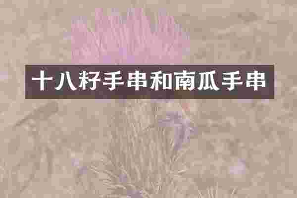 十八籽手串和南瓜手串