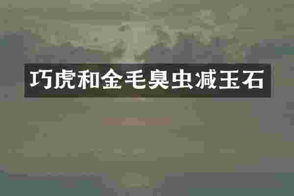 巧虎和金毛臭虫减玉石