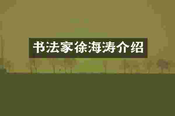 书法家徐海涛介绍