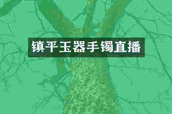 镇平玉器手镯直播