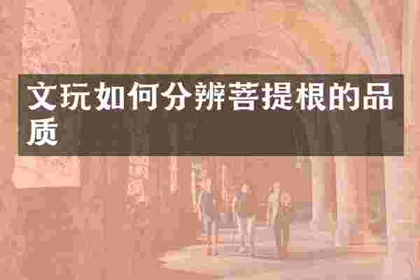 文玩如何分辨菩提根的品质