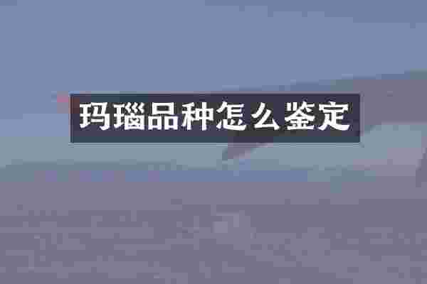 玛瑙品种怎么鉴定