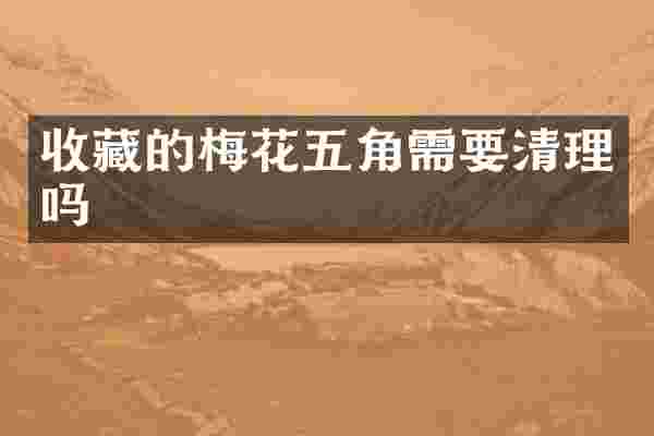 收藏的梅花五角需要清理吗