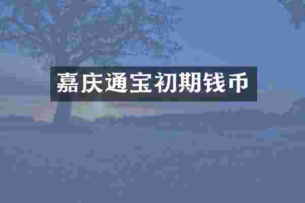 嘉庆通宝初期钱币
