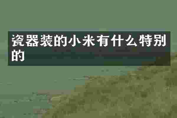 瓷器装的小米有什么特别的