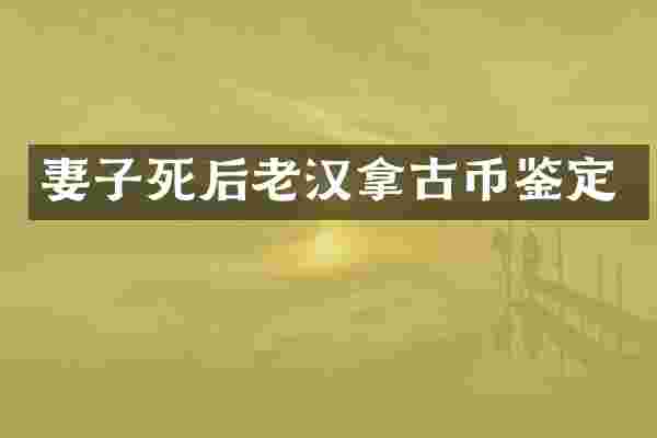 妻子死后老汉拿古币鉴定