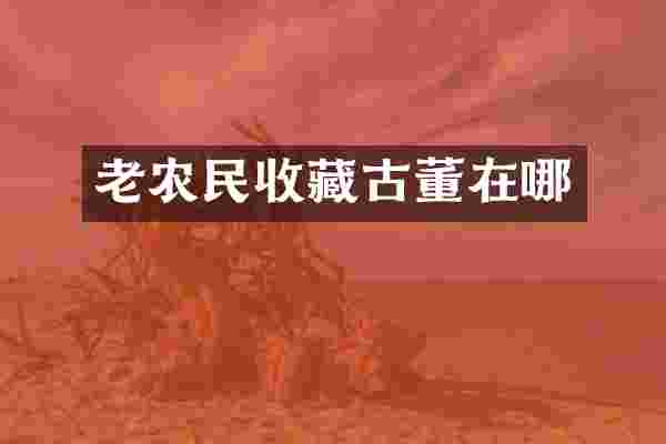 老农民收藏古董在哪