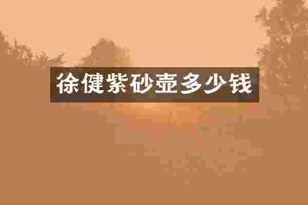 徐健紫砂壶多少钱