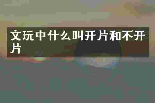 文什么叫开片和不开片