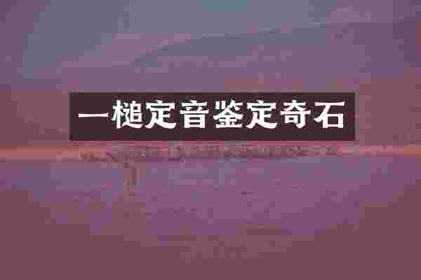 一槌定音鉴定奇石