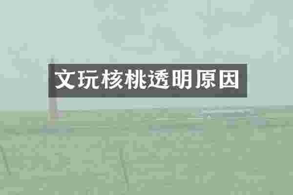 文玩核桃透明原因
