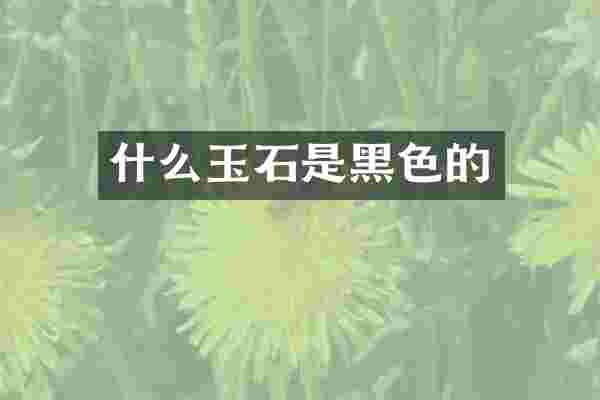什么玉石是黑色的