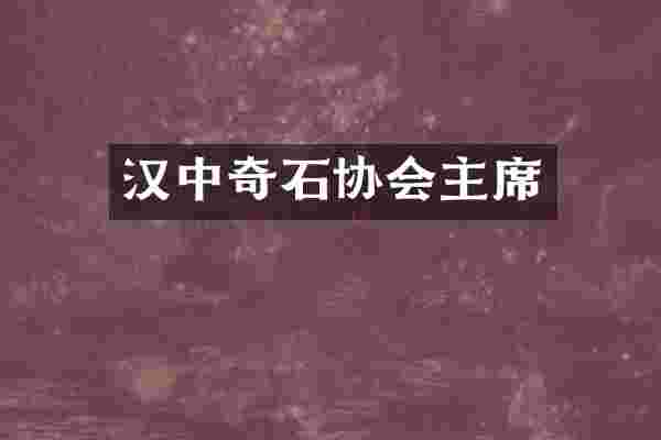 汉中奇石协会主席