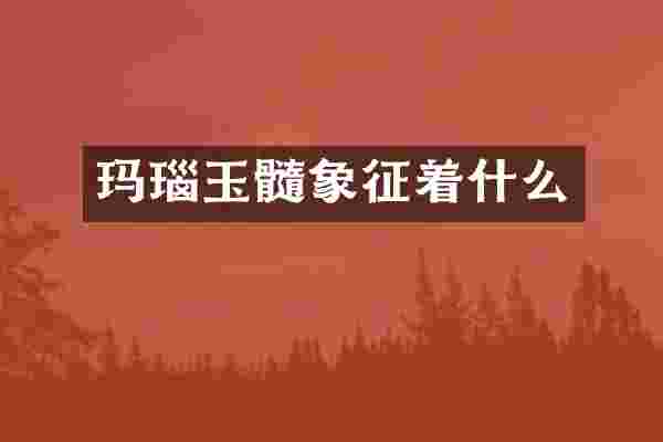玛瑙玉髓象征着什么