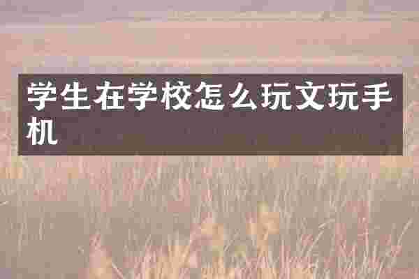 学生在学校怎么玩文玩手机