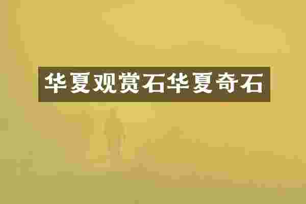 华夏观赏石华夏奇石