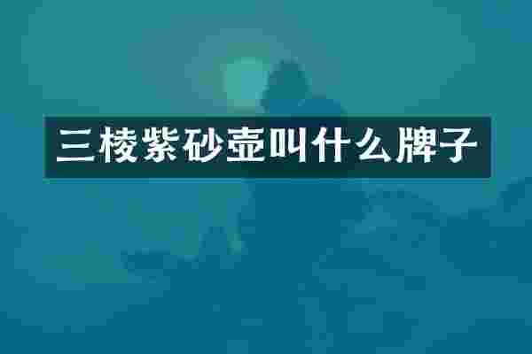 三棱紫砂壶叫什么牌子